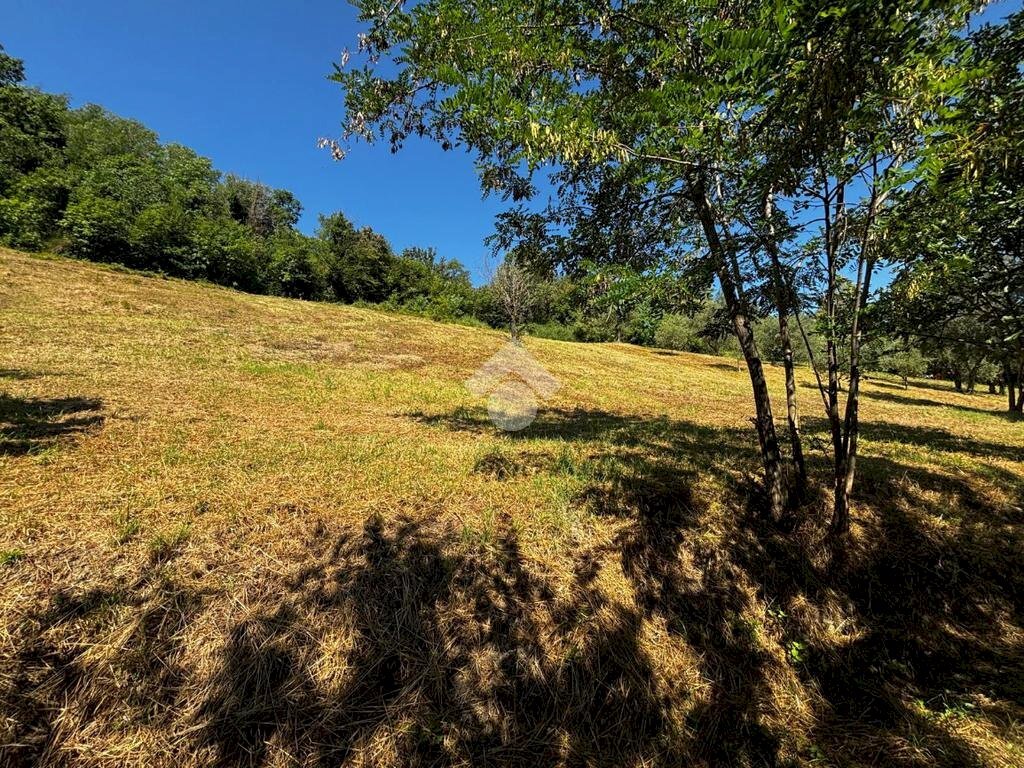 Terreno agricolo Via Piolanti, Civitella di Romagna - foto 1
