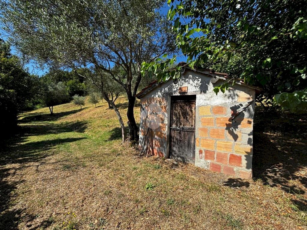 Terreno agricolo Via Piolanti, Civitella di Romagna - foto 2