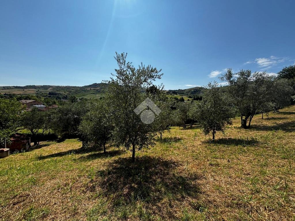 Terreno agricolo Via Piolanti, Civitella di Romagna - foto 3