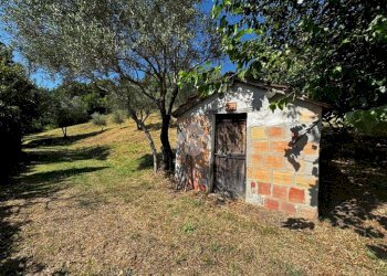 Terreno agricolo Via Piolanti, Civitella di Romagna - foto 2