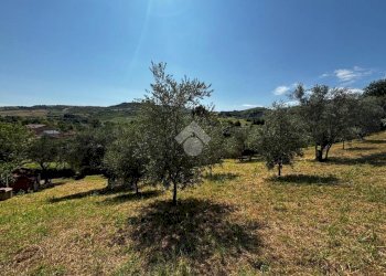 Terreno agricolo Via Piolanti, Civitella di Romagna - foto 3