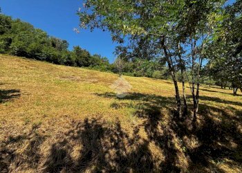 Terreno agricolo Via Piolanti, Civitella di Romagna - foto 5