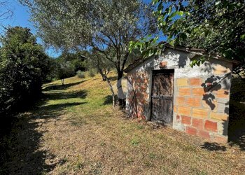 Terreno agricolo Via Piolanti, Civitella di Romagna - foto 6