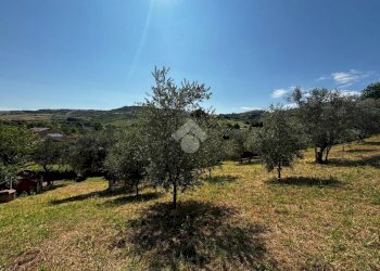 Terreno agricolo Via Piolanti, Civitella di Romagna - foto 7