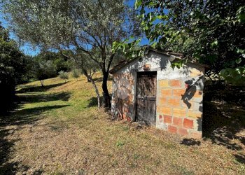 Terreno agricolo Via Piolanti, Civitella di Romagna - foto 10