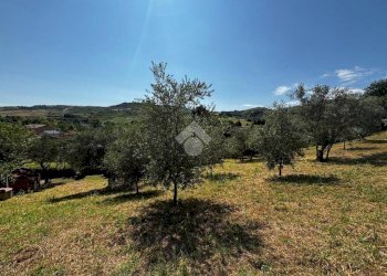 Terreno agricolo Via Piolanti, Civitella di Romagna - foto 12