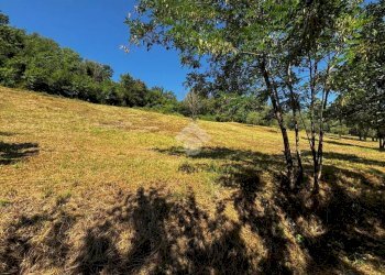 Terreno agricolo Via Piolanti, Civitella di Romagna - foto 14