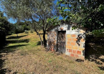 Terreno agricolo Via Piolanti, Civitella di Romagna - foto 15