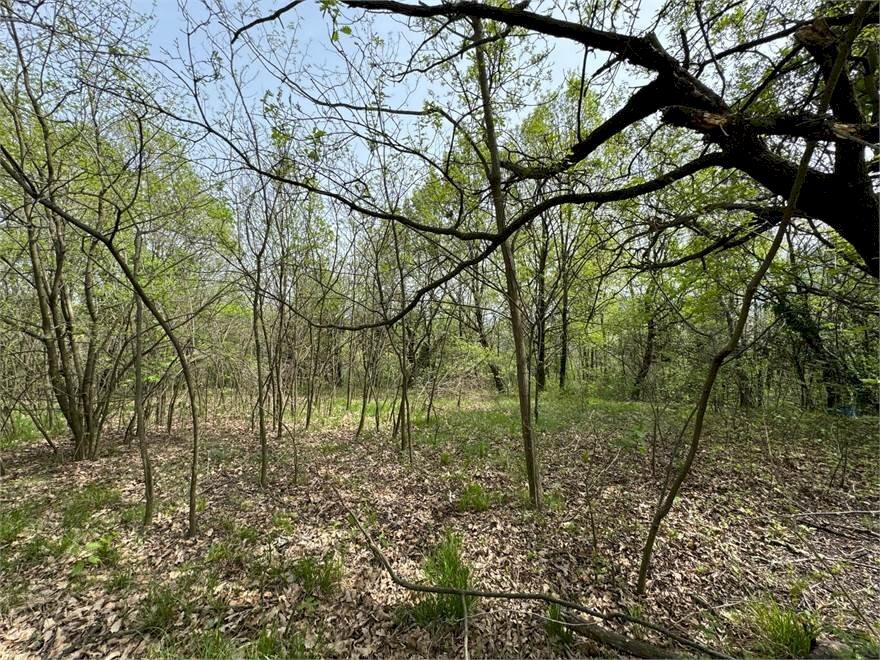 Terreno edificabile Val della Torre - foto 3