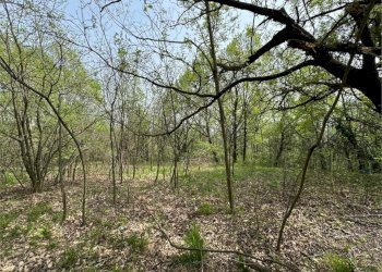 Terreno edificabile Val della Torre - foto 3