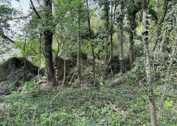 Terreno edificabile Val della Torre - foto 6