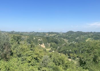 Casa indipendente frazione montemarzo, frazione Montemarzo, Asti - foto 32