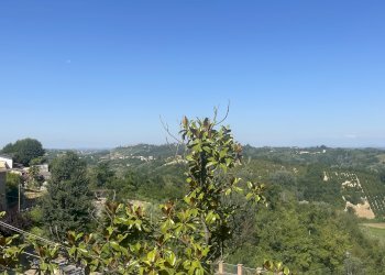 Casa indipendente frazione montemarzo, frazione Montemarzo, Asti - foto 31