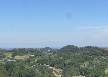 Casa indipendente frazione montemarzo, frazione Montemarzo, Asti - foto 4