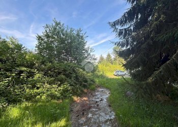 Casa indipendente Frazione Valnuovo, Forno Canavese - foto 9