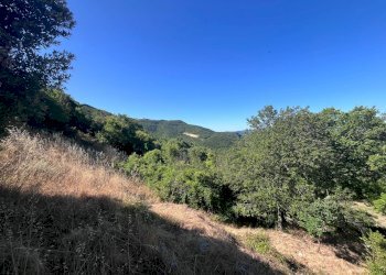 Foto 5 - Casa indipendente Spoleto - foto 5