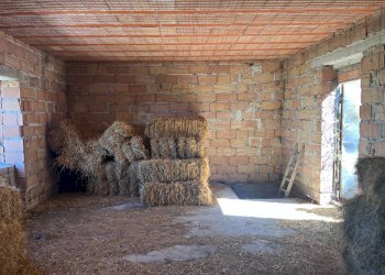 Foto 15 - Casa indipendente Spoleto - foto 15