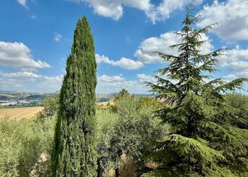 Foto 15 - Rustico Ancarano - foto 15