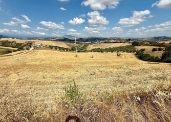 Foto 22 - Rustico Ancarano - foto 22