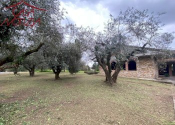 Foto 15 - Villa Capannori - foto 15