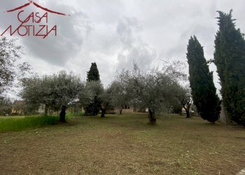 Foto 17 - Villa Capannori - foto 17