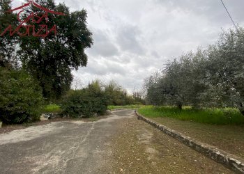 Foto 18 - Villa Capannori - foto 18