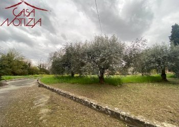 Foto 25 - Villa Capannori - foto 25