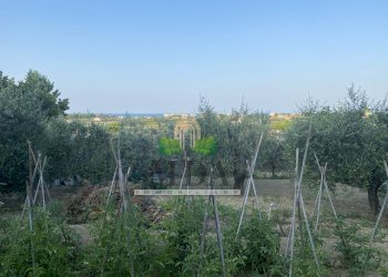 Foto 67 - Independent house via civita, Martinsicuro - photo 67