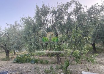 Foto 68 - Independent house via civita, Martinsicuro - photo 68