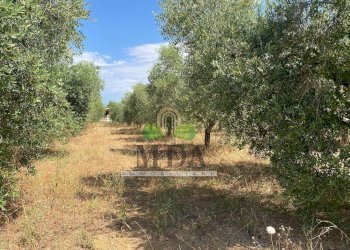 Foto 55 - Villa via Sette Fratelli, Giulianova - foto 55