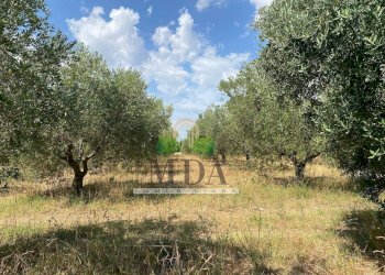 Foto 56 - Villa via Sette Fratelli, Giulianova - foto 56