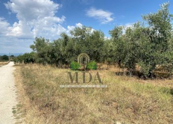 Foto 57 - Villa via Sette Fratelli, Giulianova - foto 57