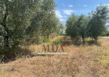 Foto 58 - Villa via Sette Fratelli, Giulianova - foto 58