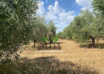 Foto 59 - Villa via Sette Fratelli, Giulianova - foto 59