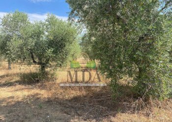 Foto 60 - Villa via Sette Fratelli, Giulianova - foto 60