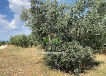 Foto 61 - Villa via Sette Fratelli, Giulianova - foto 61