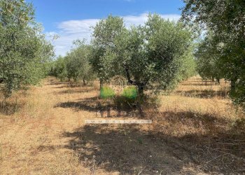 Foto 62 - Villa via Sette Fratelli, Giulianova - foto 62