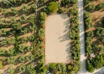 Foto 4 - Rustic Strada Provinciale
 
23, Bisceglie - photo 4