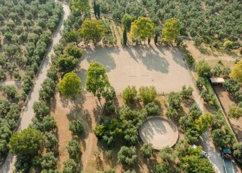 Foto 5 - Rustic Strada Provinciale
 
23, Bisceglie - photo 5