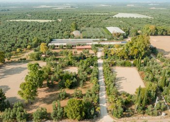 Foto 6 - Rustic Strada Provinciale
 
23, Bisceglie - photo 6