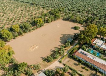 Foto 7 - Rustic Strada Provinciale
 
23, Bisceglie - photo 7