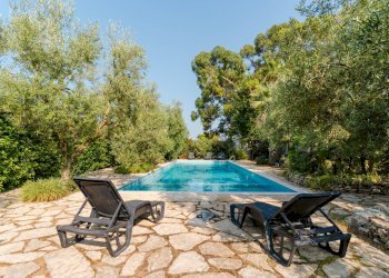 Foto 10 - Rustic Strada Provinciale
 
23, Bisceglie - photo 10