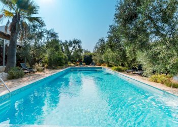 Foto 11 - Rustic Strada Provinciale
 
23, Bisceglie - photo 11