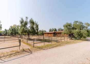 Foto 27 - Rustic Strada Provinciale
 
23, Bisceglie - photo 27