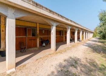 Foto 28 - Rustic Strada Provinciale
 
23, Bisceglie - photo 28