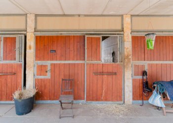 Foto 29 - Rustic Strada Provinciale
 
23, Bisceglie - photo 29