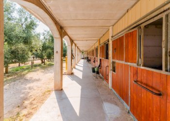 Foto 30 - Rustic Strada Provinciale
 
23, Bisceglie - photo 30