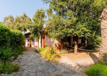 Foto 31 - Rustic Strada Provinciale
 
23, Bisceglie - photo 31