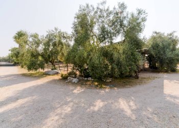 Foto 32 - Rustic Strada Provinciale
 
23, Bisceglie - photo 32