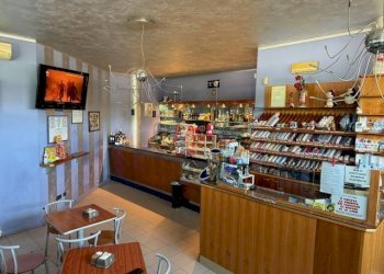 Foto 9 - Bar Tavola Calda - Fredda Bussolengo - foto 9